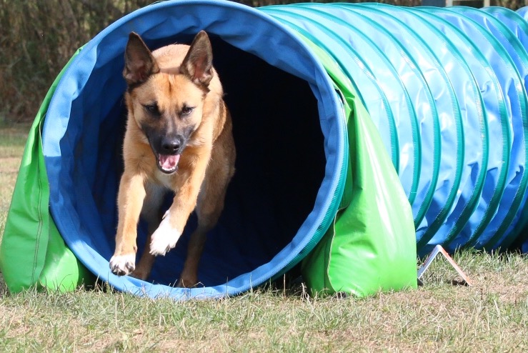 Agility