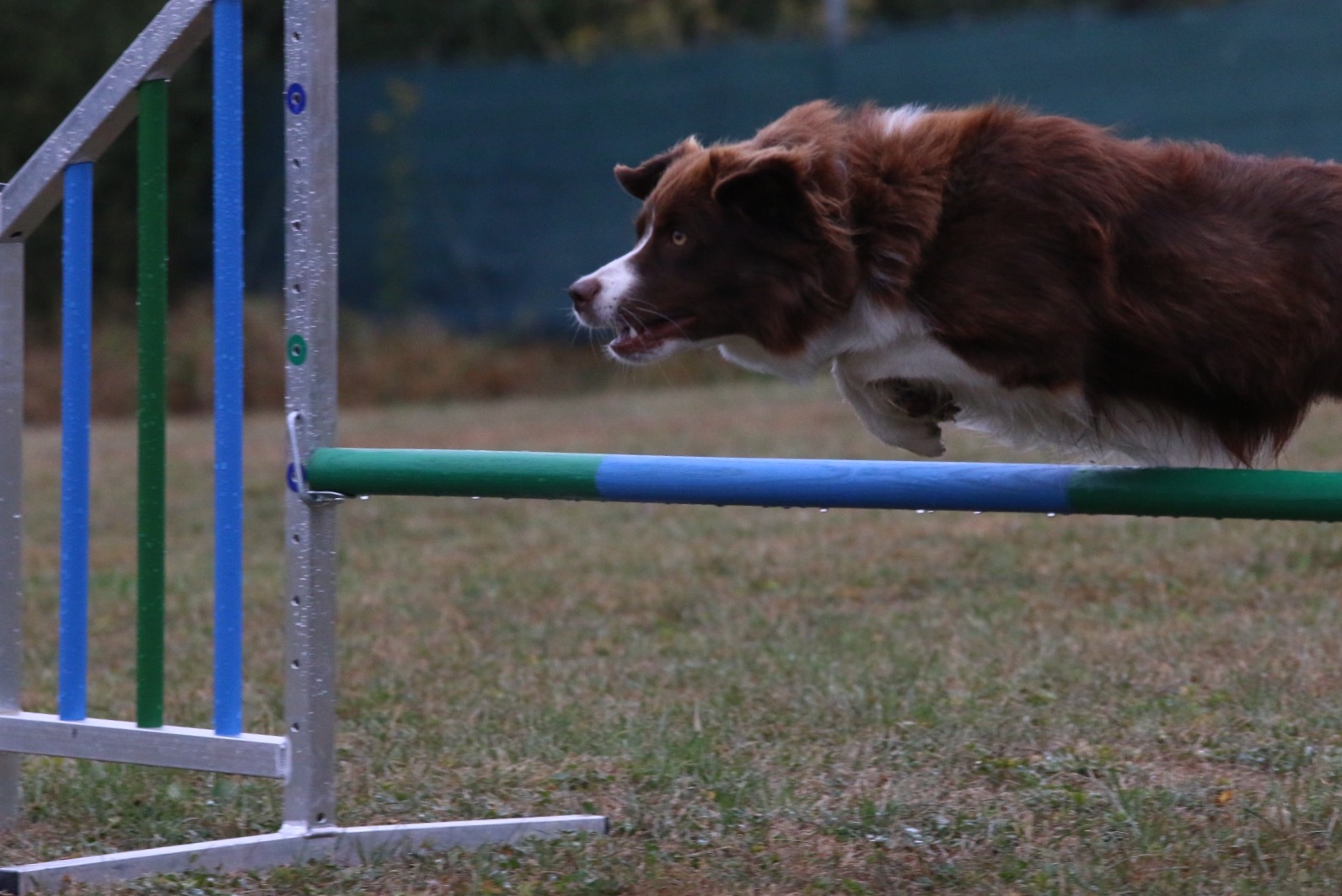 Agility