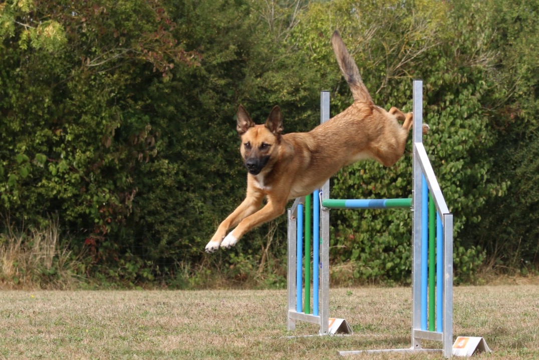 Agility
