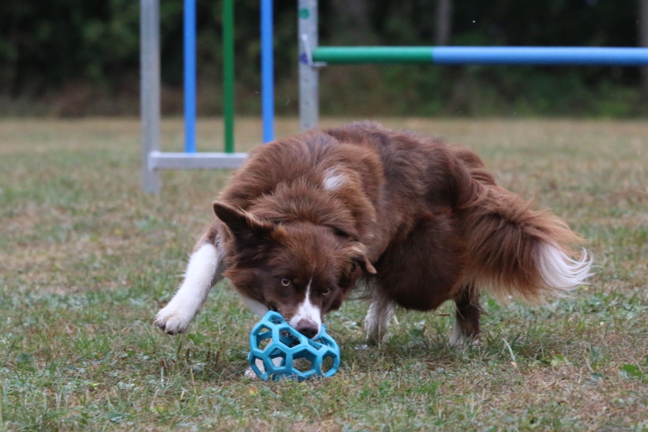 Agility