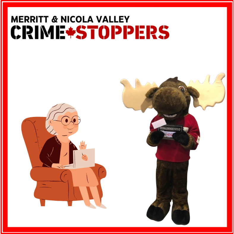 Scammers often target seniors. Make sure the seniors who are important to you know how to prevent themselves from becoming a target.
