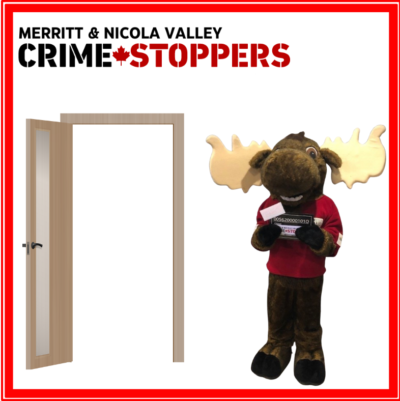 Home security is important. Lock doors, install lights and stay alert.
