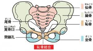 恥骨結合炎について