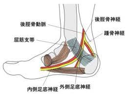 足根管症候群について