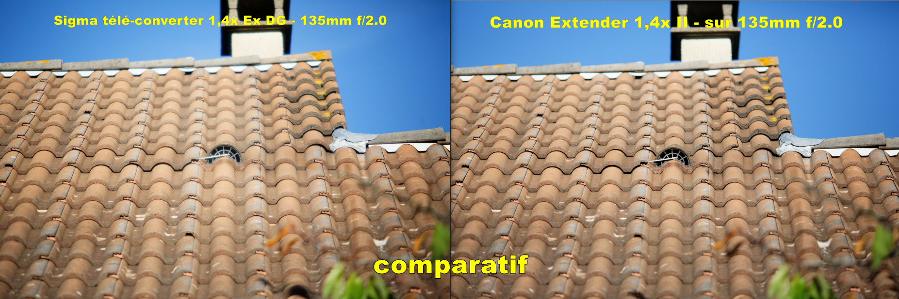 Match comparatif Sigma Tele-Converter 1.4x Ex DG contre Canon extender 1,4x II par Beanico