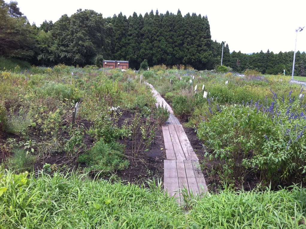 宮崎県小林市ふくどめハーブ園