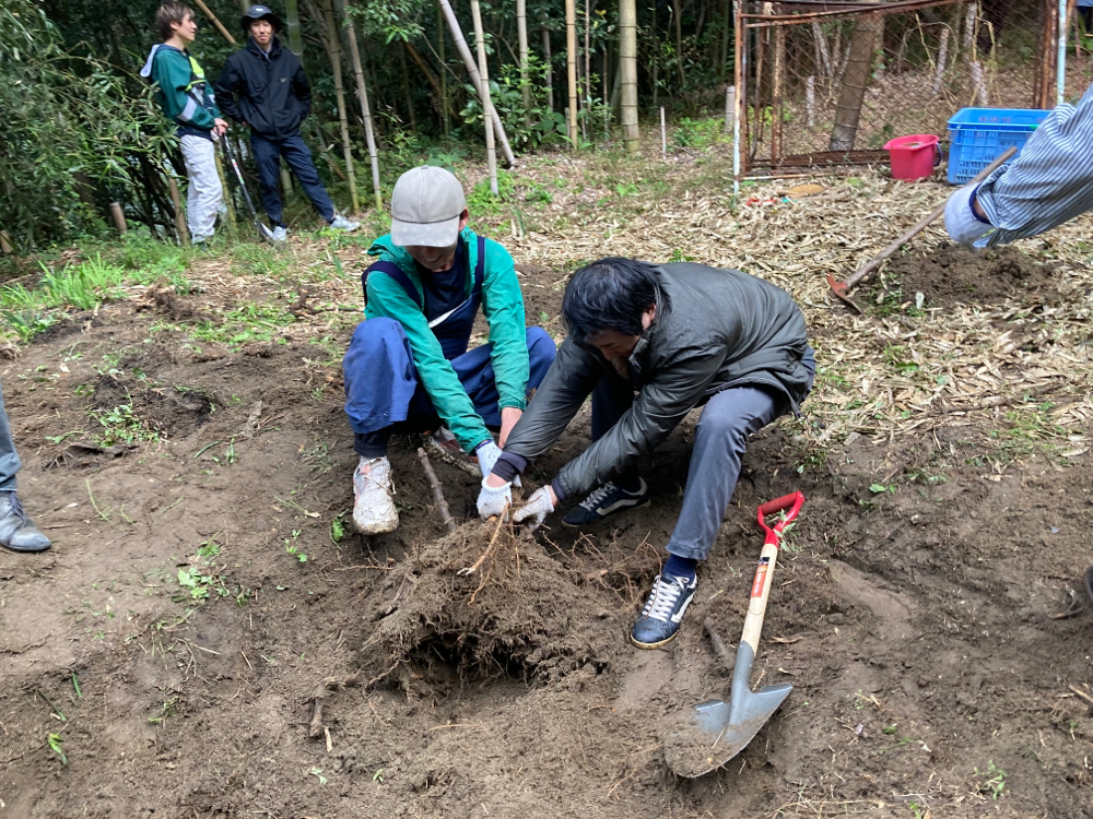 実例3 根っこに奮闘