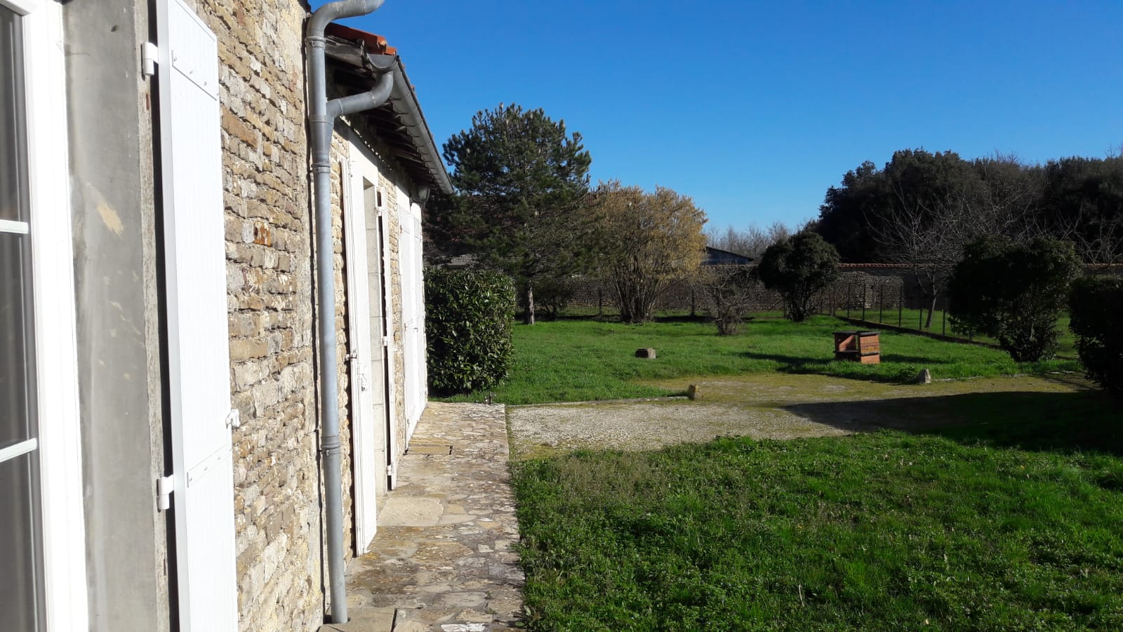 The garden, seen from the house