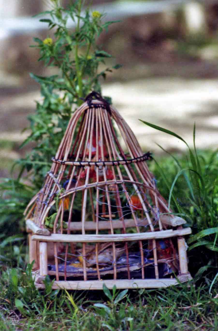 Cage à oiseau décorée et parée de gri-gri
