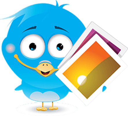 oiseau divers - animaux - smiley émoticône émoji cartoon clipart illustration - artémotic