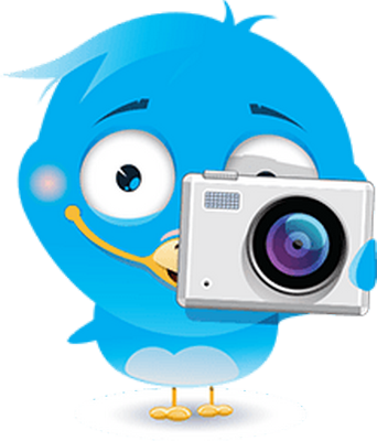 oiseau divers - animaux - smiley émoticône émoji cartoon clipart illustration - artémotic