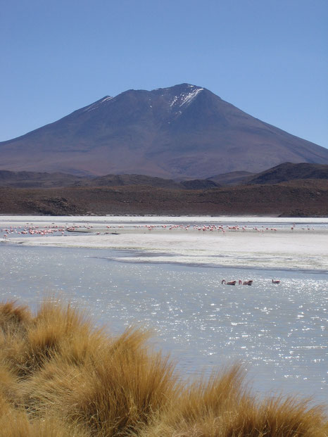 Mehrtagestour Salzsee Uyuni mit BOLIVIENline