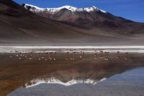 Individualreisen durch Bolivien mit BOLIVIENline