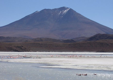 Besuch der Lagunen und des Salar de Uyuni mit BOLIVIENline