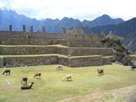 Machu Picchu - ein Ort mit einer beeindruckenden Atmosphäre