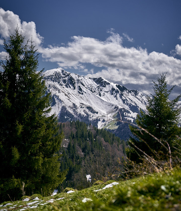 Frühling im Massif des Bauges