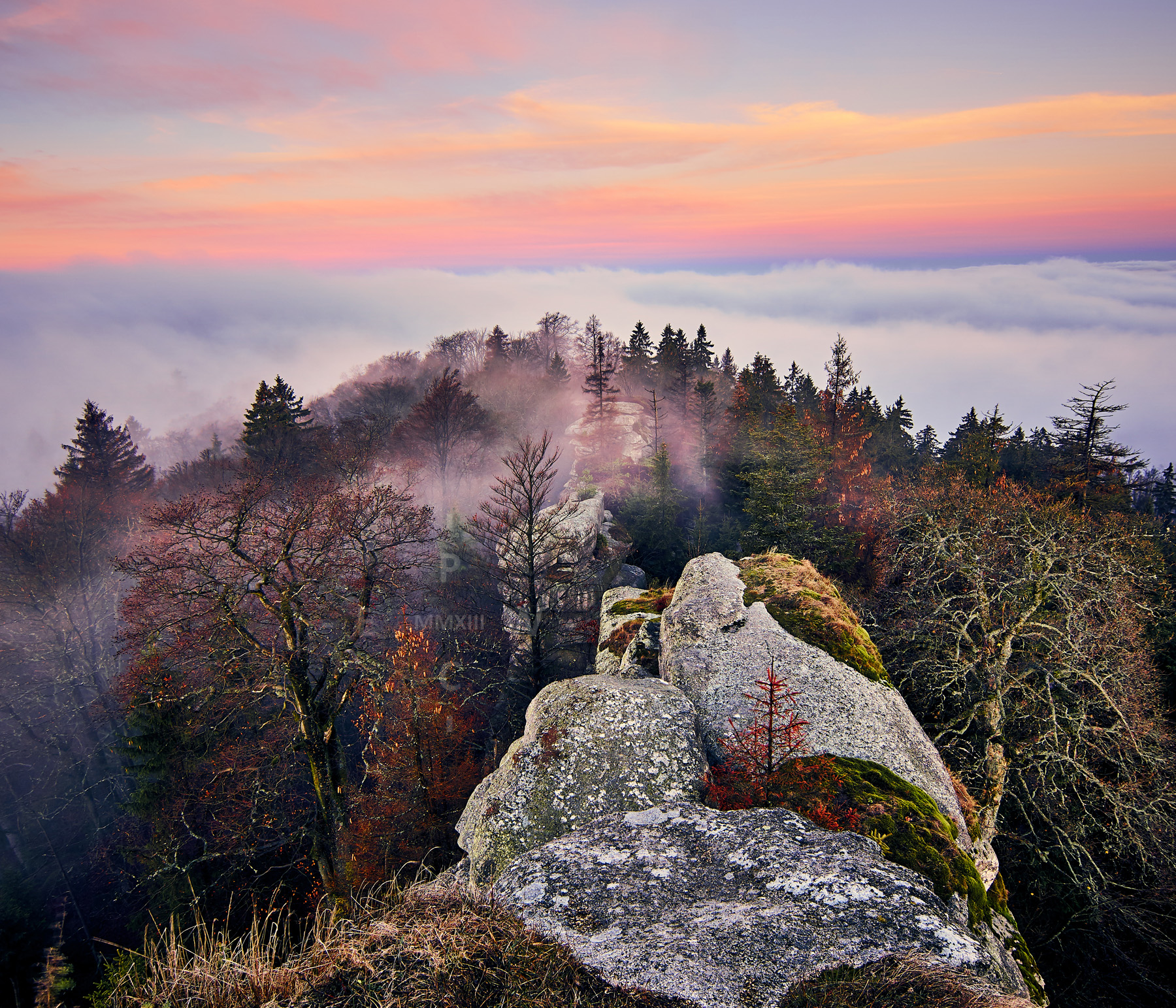 Morgenrot über dem Nebel auf der Schüssel am Großen Waldstein