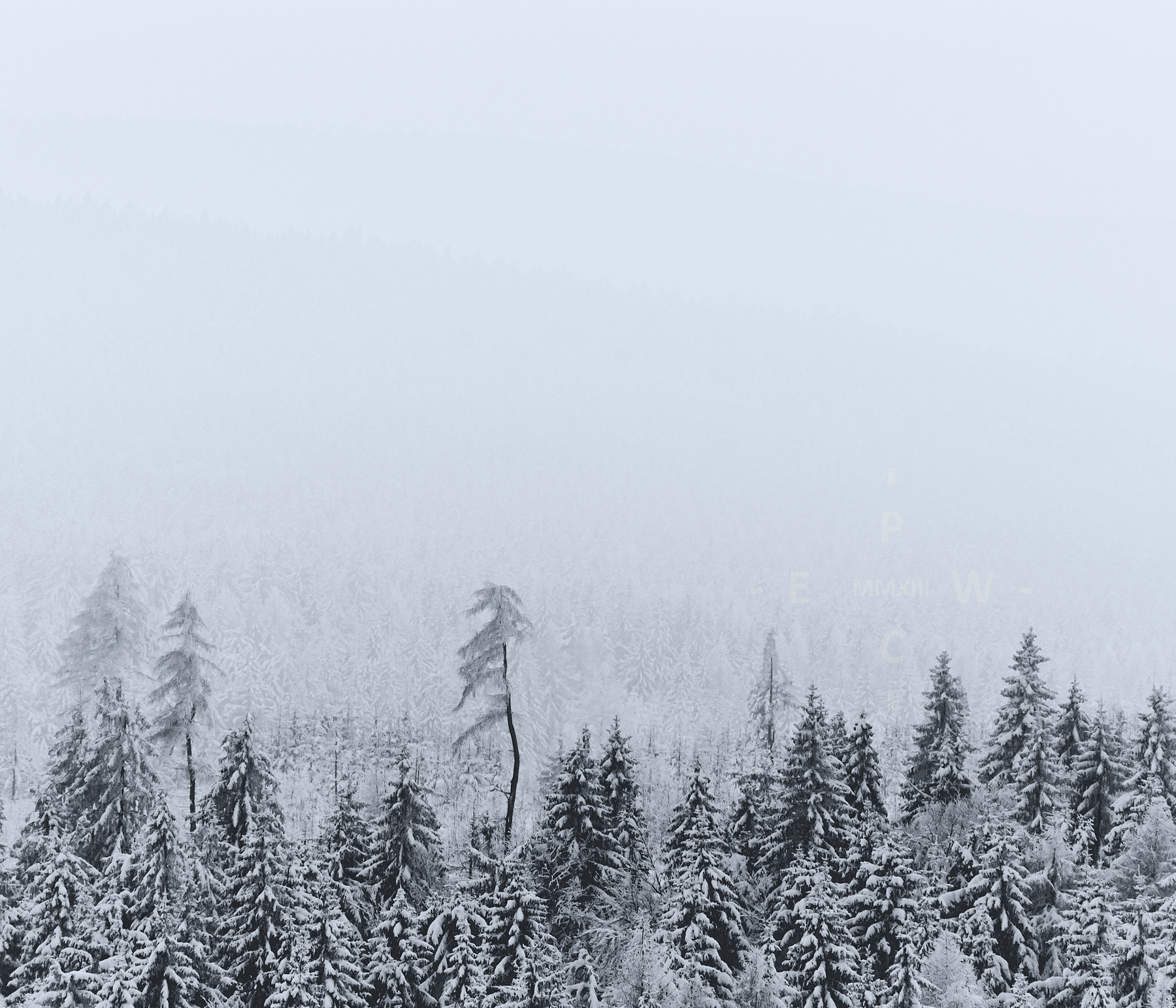 Nebelwald am winterlichen Großen Waldstein im Fichtelgebirge