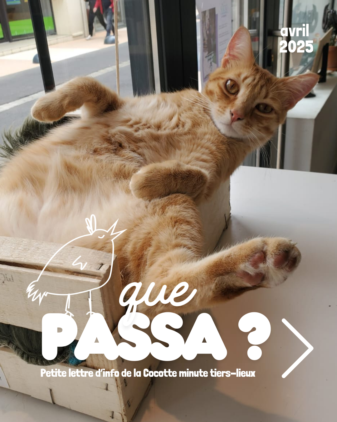 Qué pasa ?  Petite lettre d’info de la Cocotte minute tiers-lieux