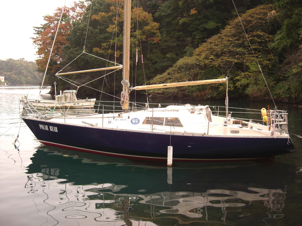 YAMAHA30 （スカンピ） - 珠洲飯田湾セーリング協会