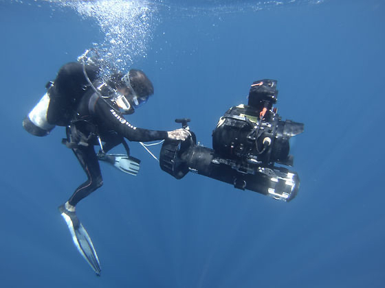 Alfredo Barroso - underwater cinematography