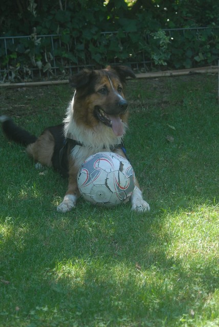 mein Ball! Messi in Positur!!!