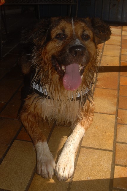 nach der Dusche
