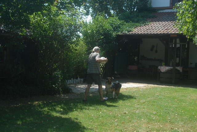 mein Herrchen,
