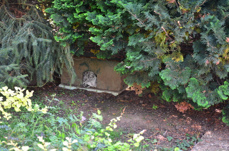 Im parkähnlichen Garten ein Igel-Paradies