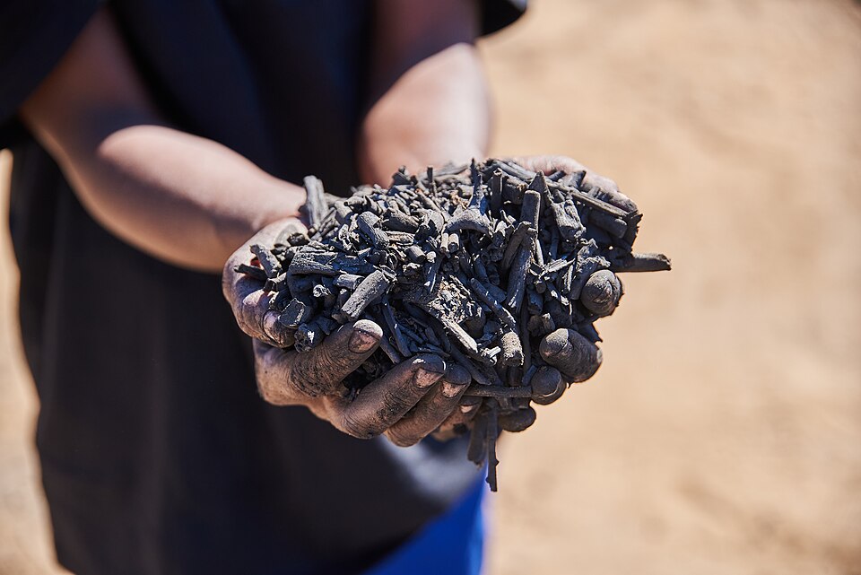 大地から生まれた「炭」がプラスチックを資源に変える！農業の新しい循環