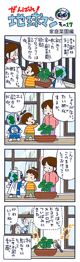 この話は私の体験談を元に作りました。 去年、食べ物の大切さを肌で感じようと、 初めて家庭菜園を始めたのですが、まさか鳥が来るようになるなんて思いもしませんでした。 鳥の餌づけについては、賛否両論あるようですが、身近な自然の営み、移りゆく季節を肌で感じられるのはすばらしいですね。 (作者談)
