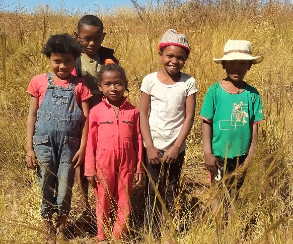 【マダガスカルみらい】子どもたちとサカイ市に植樹した木の下草刈りをしました。