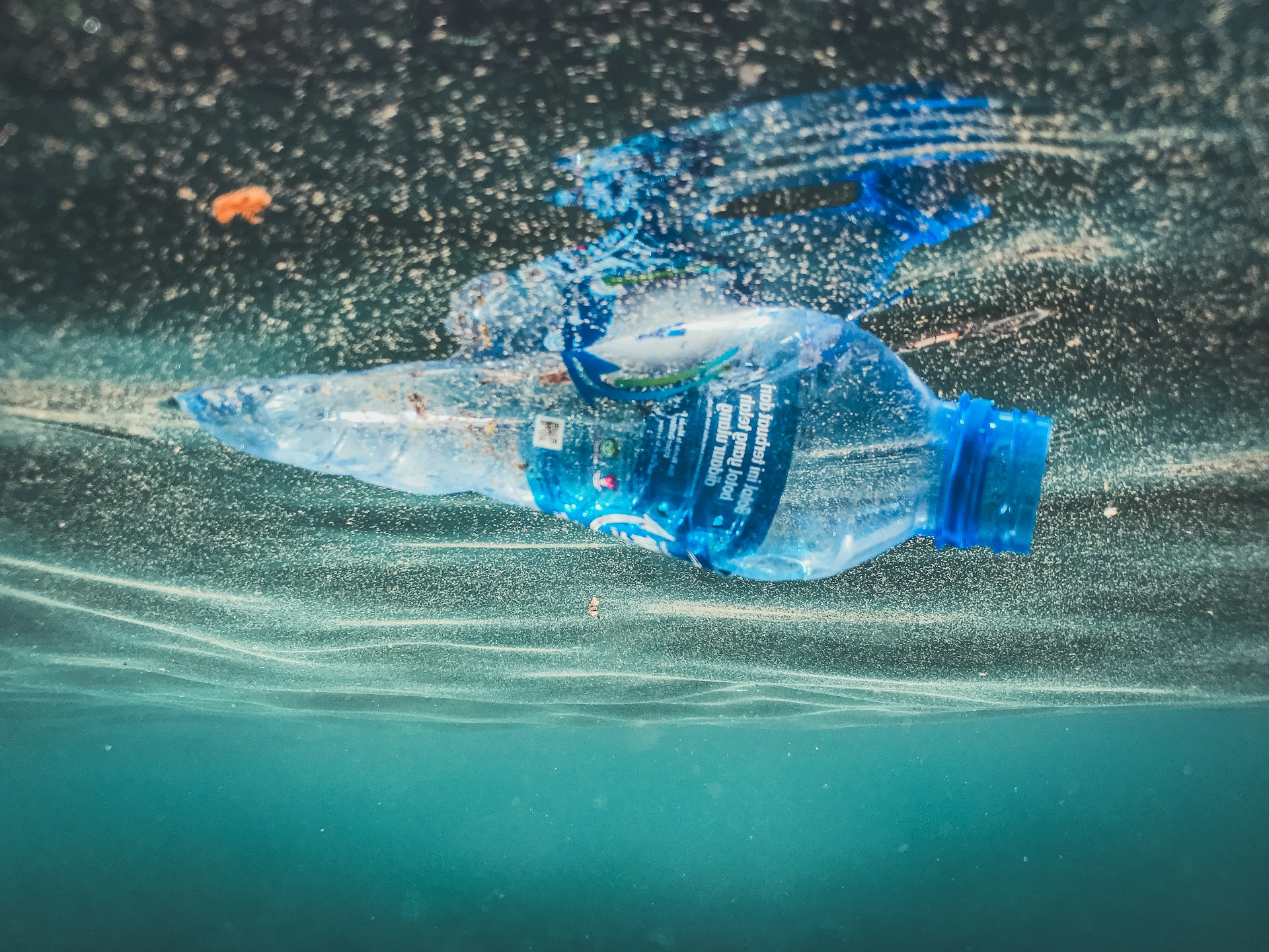 美しい海を未来へつなぐ！ 海洋プラスチックについて知っておきたい5つのこと