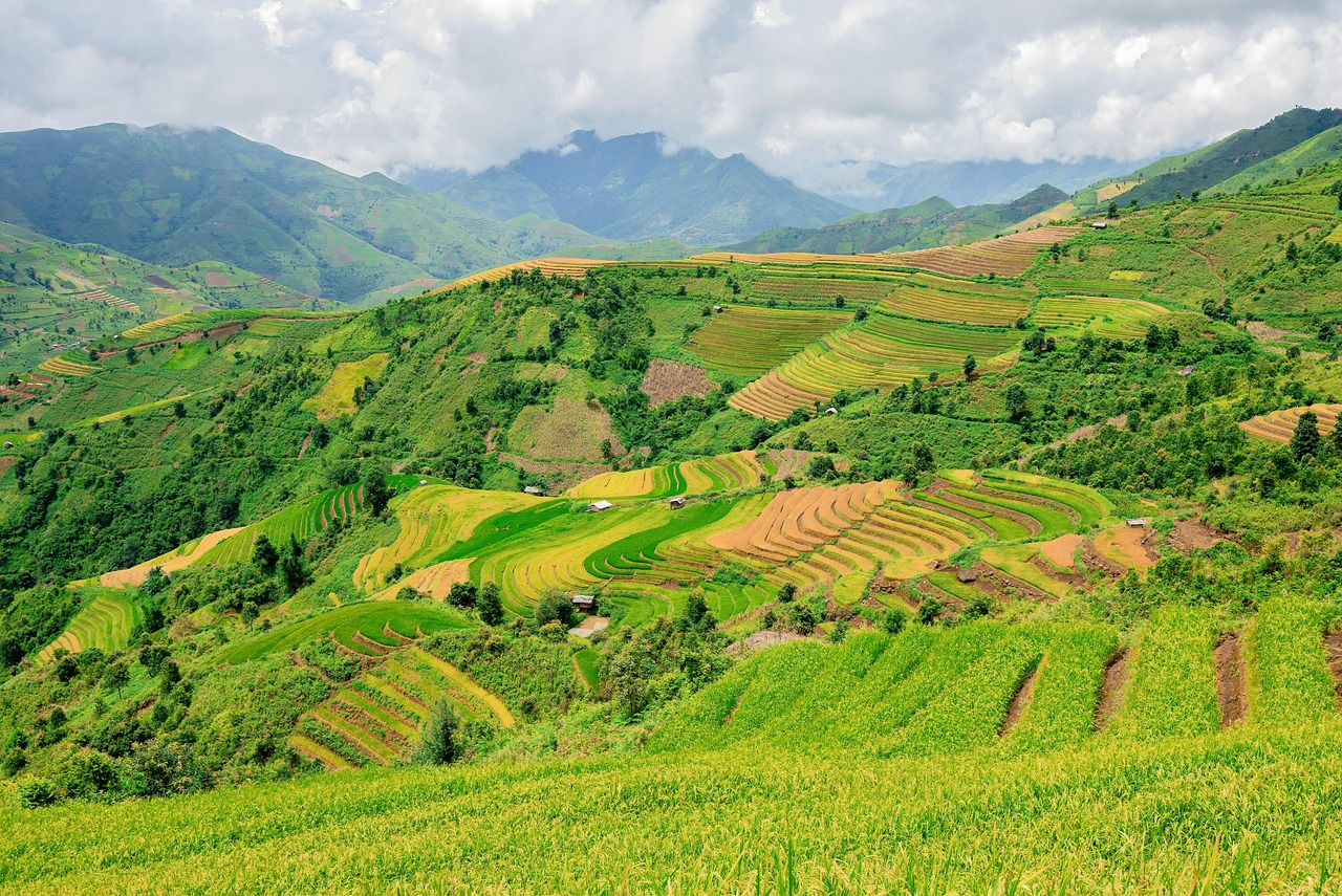 森と人間の共存を目指す「モデルフォレスト」は温暖化の救世主になるか！？