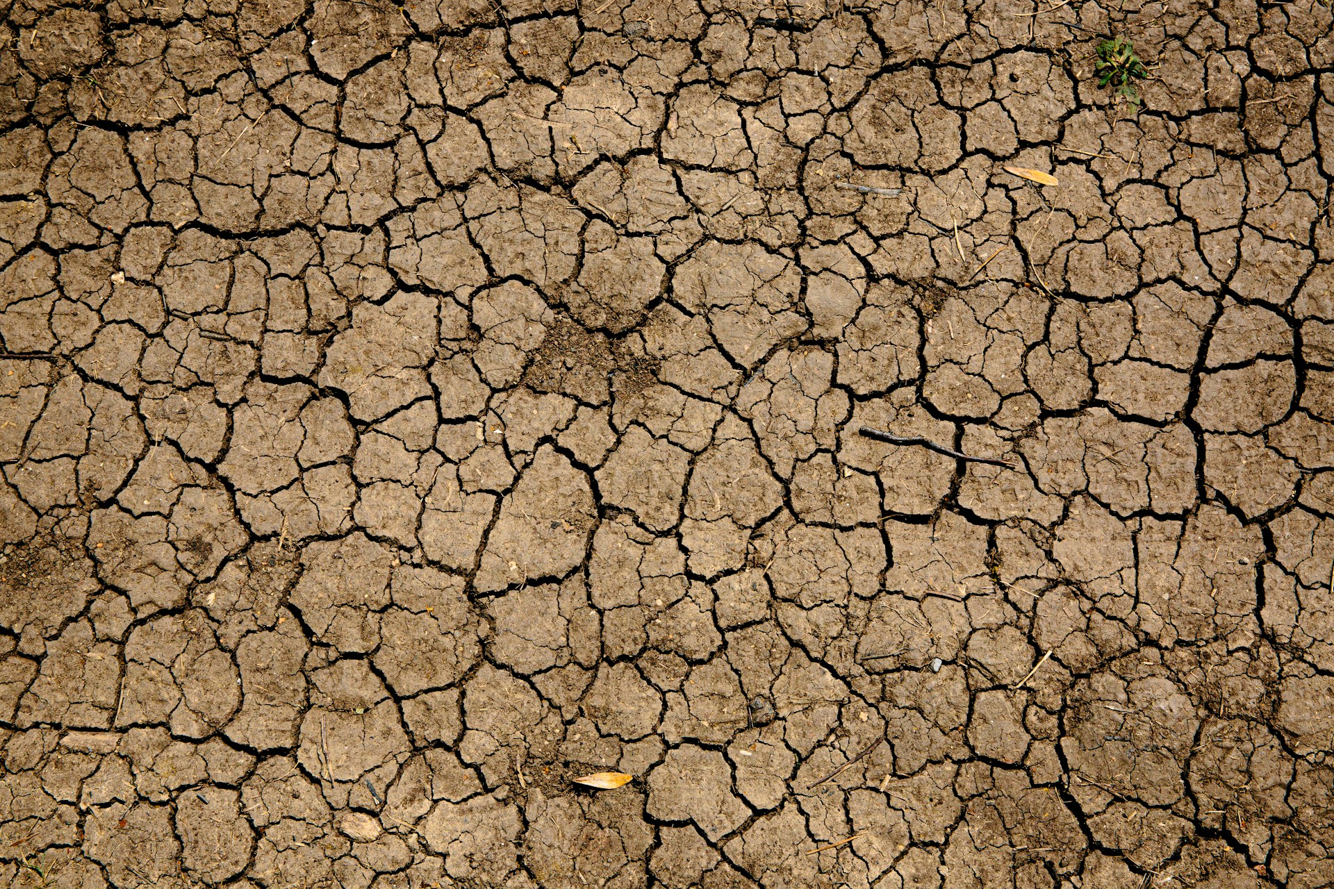 とまらない地球温暖化 この５年はさらなる気候現象が続々！ 国連発表
