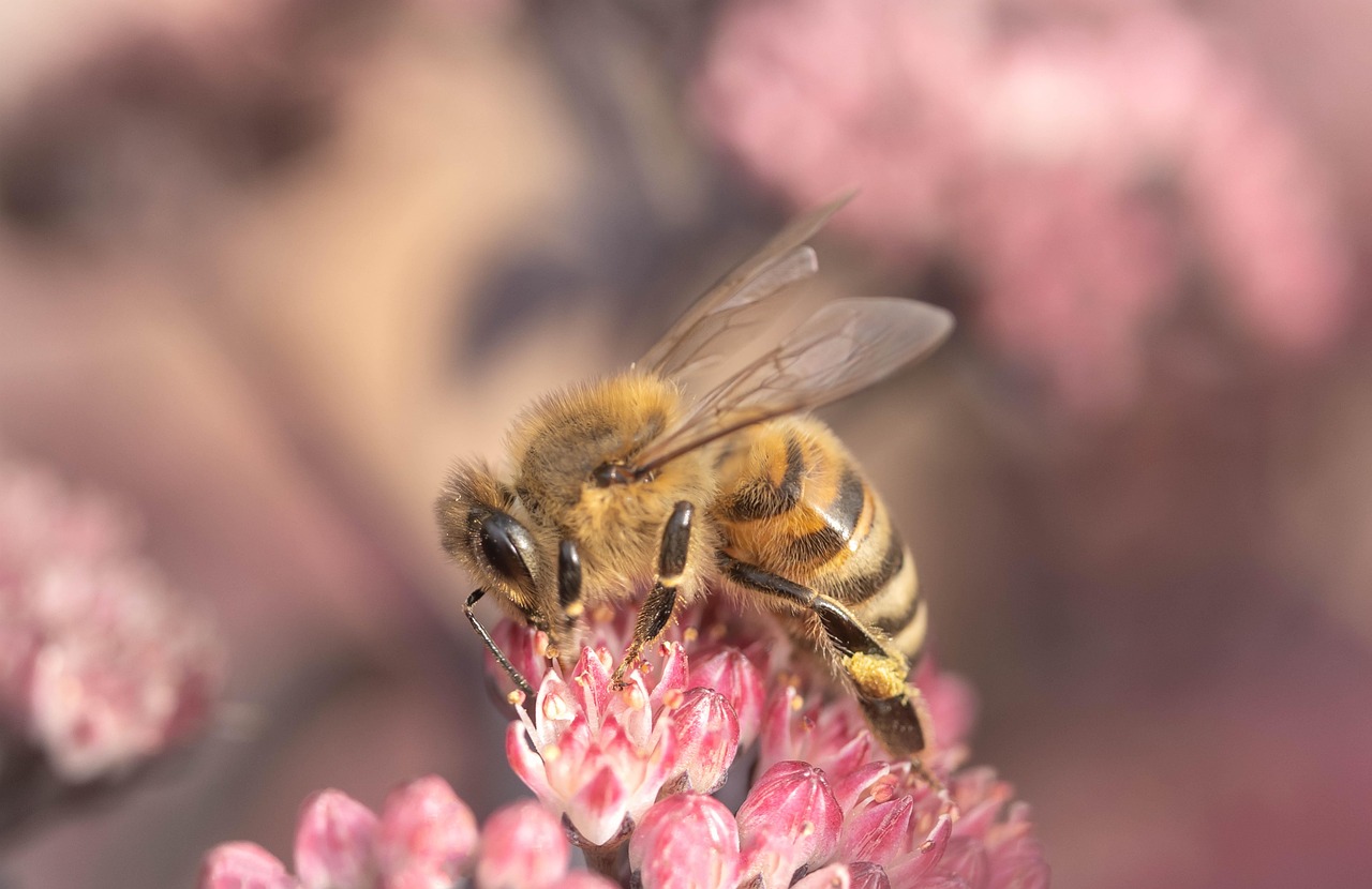 5月22日 国際生物多様性の日に考える私たちの未来