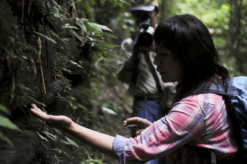 7/28「森にかえれ！」生物多様性のスペシャリスト 坂田昌子氏ワークショップ