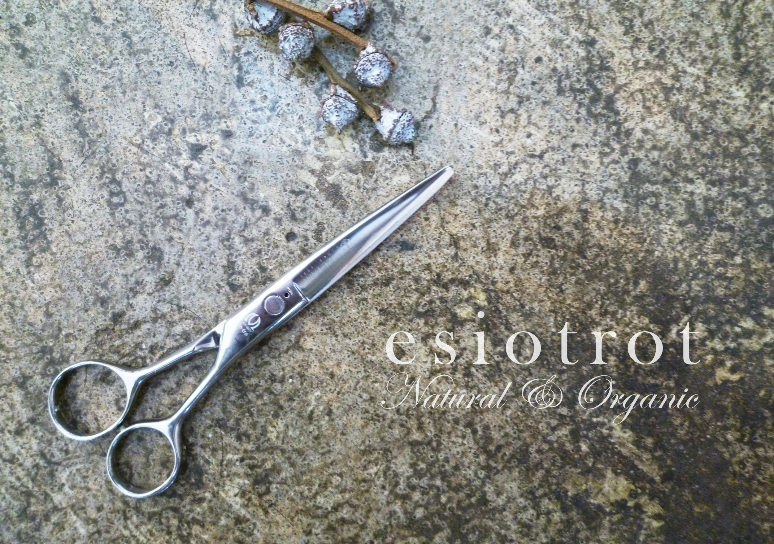 ヘアドネーション つな髪®｜髪の寄付（ヘアドネーション）で医療用ウィッグを無償提供