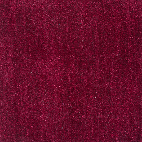 Abhi col hibiscus