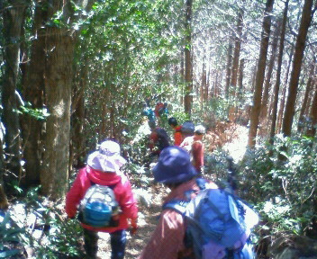 七ヶ岳トレッキング