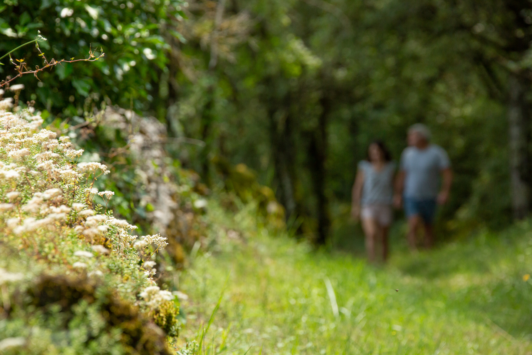 Un week-end spa en amoureux au printemps