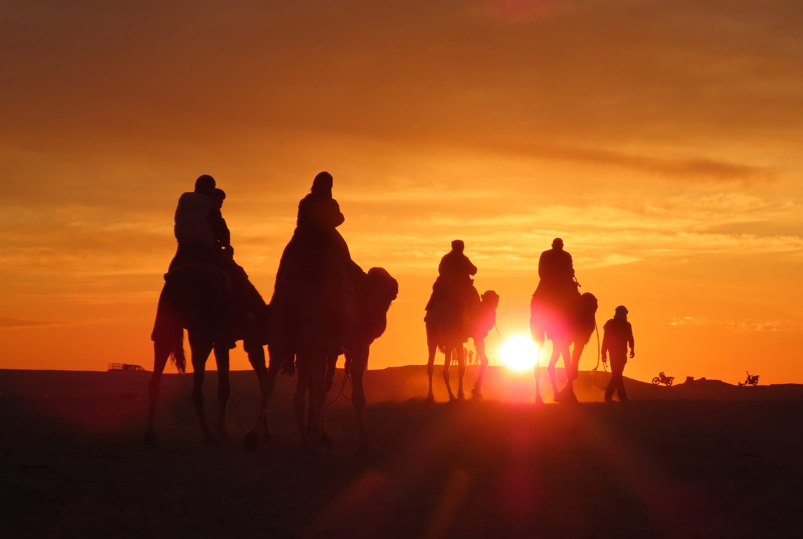 Au-delà du voyage : bien-être animal et tradition dans le Sahara