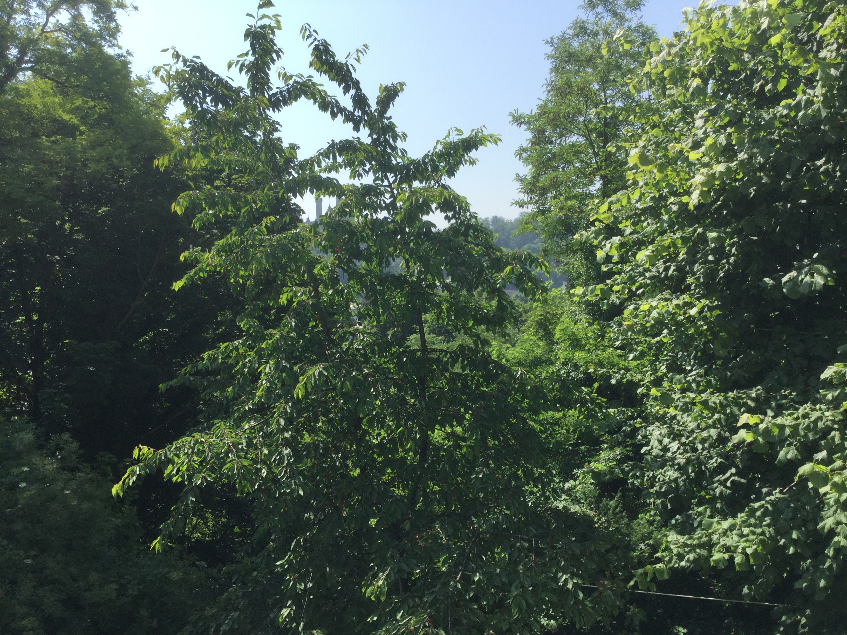 The Peacefull place — Pierrefonds