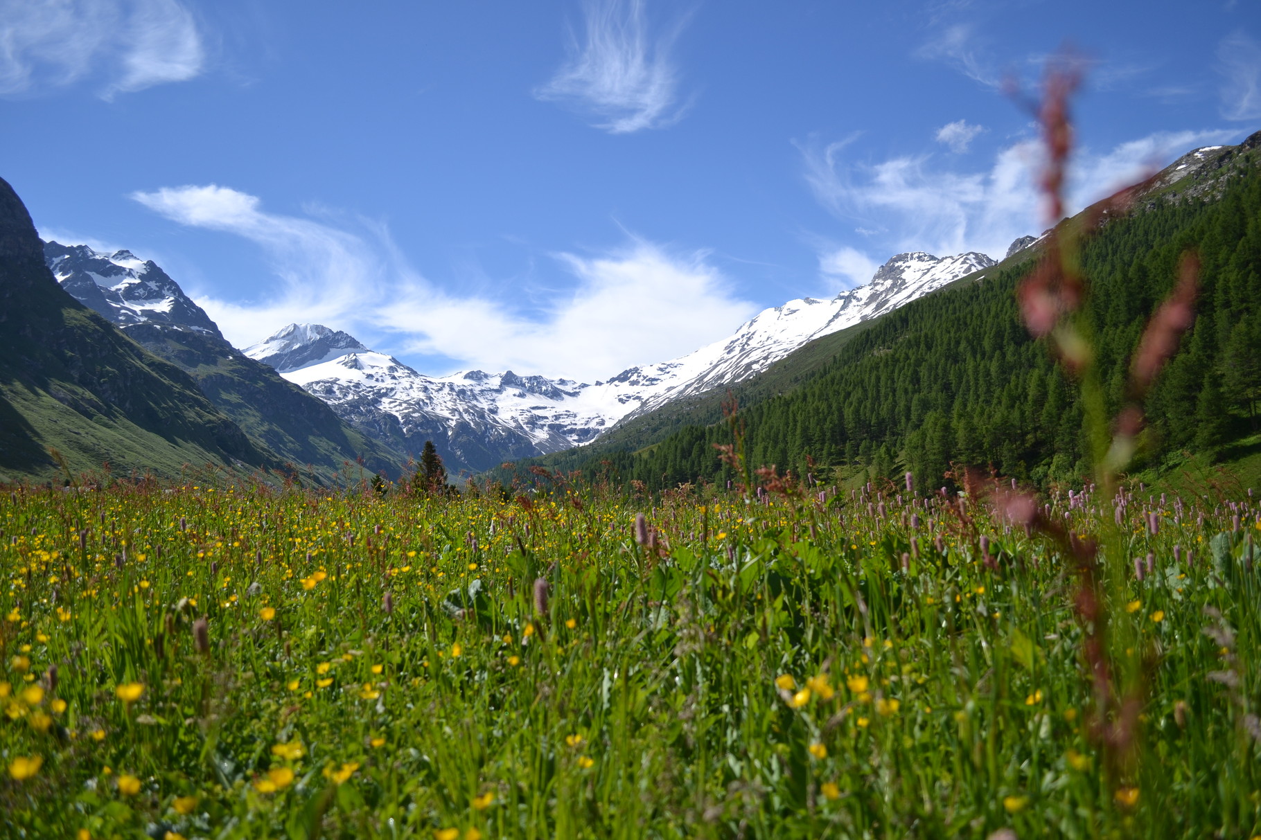 Aussicht Richtung Süden