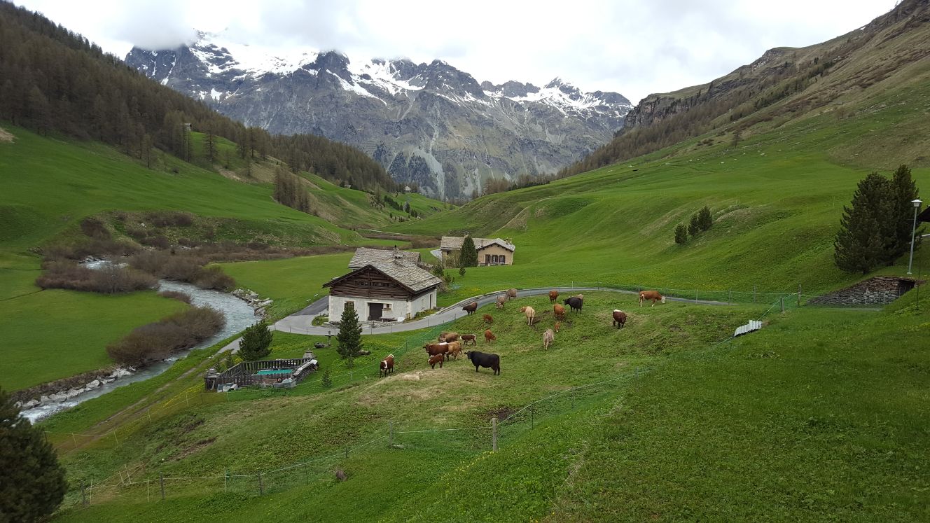 Aussicht Richtung Norden