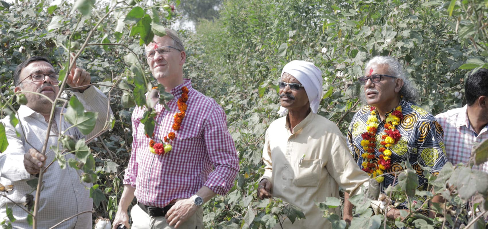 Service. CSR and technical support and "Linen Wiki" Dibella