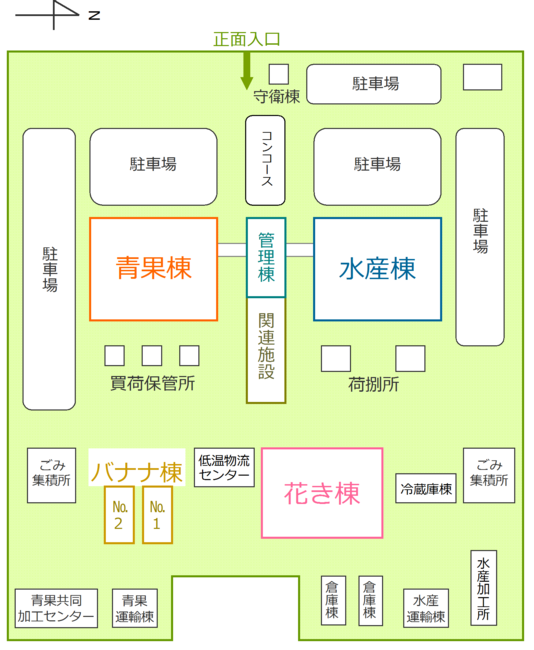 青果棟1階には青果の卸売場、仲卸売場があり、2階には青果の卸売業者、仲卸業者の事務所があります。水産棟も同じく1階は卸売場と仲卸売場で、2階は水産の卸売業者、仲卸業者の事務所となっています。青果棟の後ろには買荷保管所、水産棟の後ろには荷捌き所が設けられています。中央にある管理棟の奥には関連事業者の店舗があります。市場管理室は管理棟2階にあります。また、奥には花き棟、バナナ棟があります。