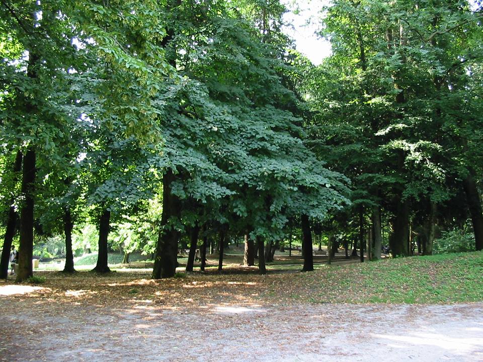 Scorcio dei giardini (Foto Boscolo)