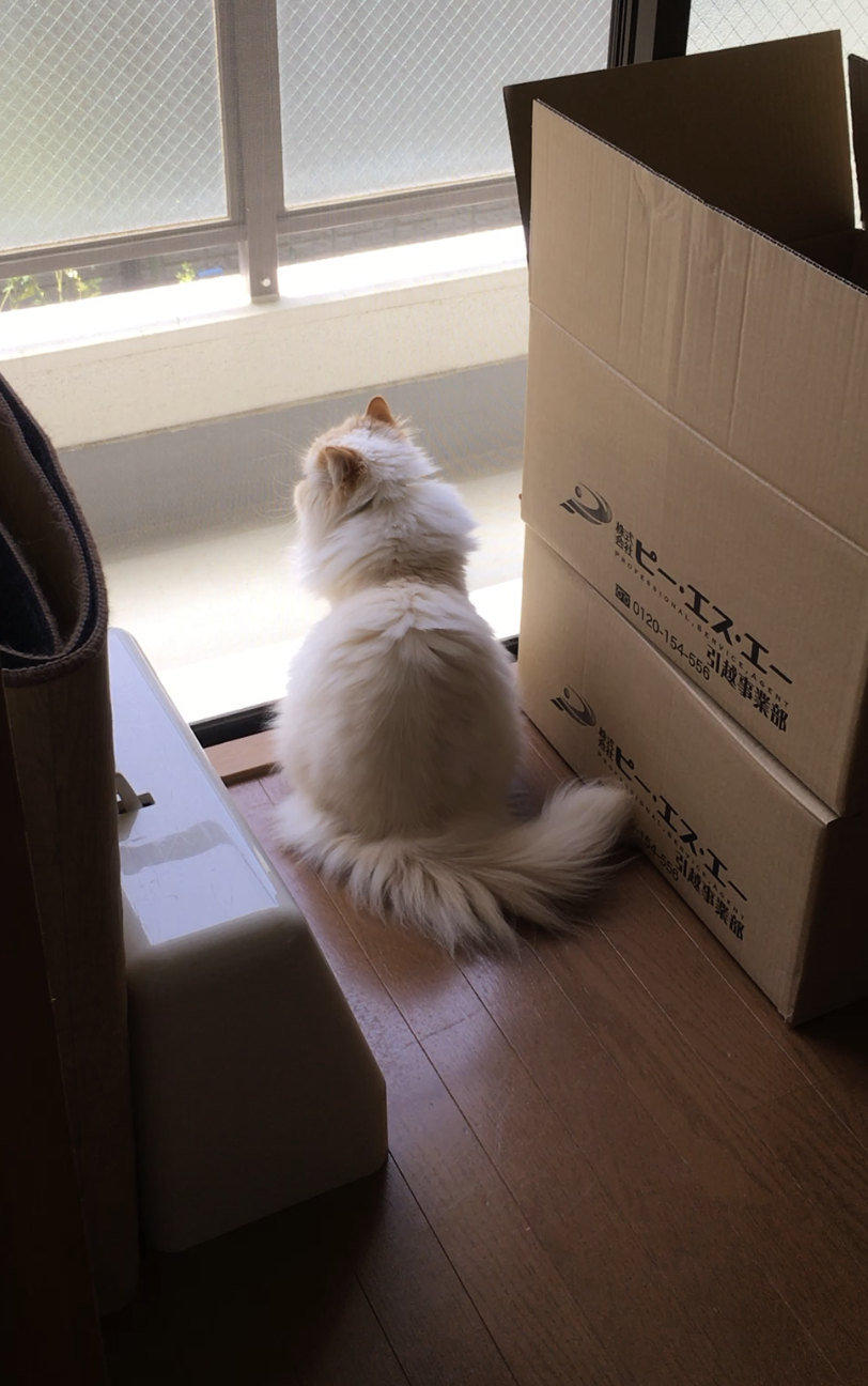 引っ越ししてました