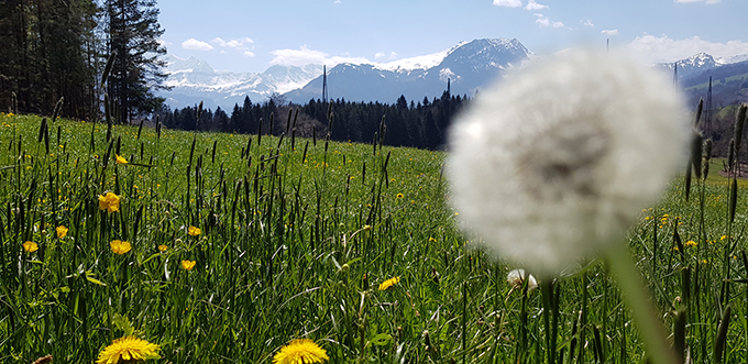 Sarnersee - Kanton Oberwalden